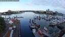 ./images/victoria/wharf/20250604/wharf20250604_062011M.jpg