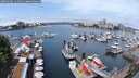./images/victoria/wharf/20250604/wharf20250604_114511M.jpg