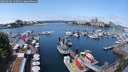 ./images/victoria/wharf/20250604/wharf20250604_122011M.jpg