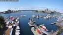./images/victoria/wharf/20250604/wharf20250604_123510M.jpg