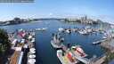 ./images/victoria/wharf/20250604/wharf20250604_124010M.jpg