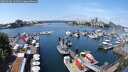 ./images/victoria/wharf/20250604/wharf20250604_124511M.jpg