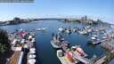 ./images/victoria/wharf/20250604/wharf20250604_132010M.jpg