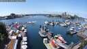 ./images/victoria/wharf/20250604/wharf20250604_132509M.jpg