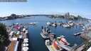 ./images/victoria/wharf/20250604/wharf20250604_134010M.jpg