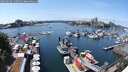 ./images/victoria/wharf/20250604/wharf20250604_135011M.jpg