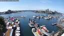 ./images/victoria/wharf/20250604/wharf20250604_135509M.jpg