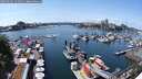 ./images/victoria/wharf/20250604/wharf20250604_141011M.jpg