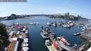 ./images/victoria/wharf/20250604/wharf20250604_142011M.jpg