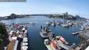 ./images/victoria/wharf/20250604/wharf20250604_143010M.jpg
