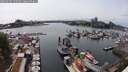 ./images/victoria/wharf/20250604/wharf20250604_155510M.jpg