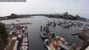 ./images/victoria/wharf/20250604/wharf20250604_161010M.jpg