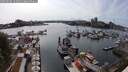 ./images/victoria/wharf/20250604/wharf20250604_165010M.jpg