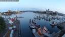 ./images/victoria/wharf/20250605/wharf20250605_051009M.jpg