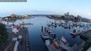 ./images/victoria/wharf/20250605/wharf20250605_051508M.jpg
