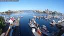 ./images/victoria/wharf/20250605/wharf20250605_083011M.jpg