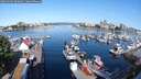 ./images/victoria/wharf/20250605/wharf20250605_090012M.jpg
