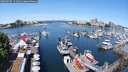 ./images/victoria/wharf/20250605/wharf20250605_111010M.jpg