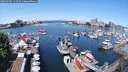 ./images/victoria/wharf/20250605/wharf20250605_112510M.jpg