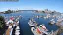 ./images/victoria/wharf/20250605/wharf20250605_113010M.jpg