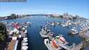 ./images/victoria/wharf/20250605/wharf20250605_114510M.jpg