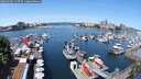 ./images/victoria/wharf/20250605/wharf20250605_115510M.jpg