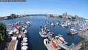 ./images/victoria/wharf/20250605/wharf20250605_120012M.jpg