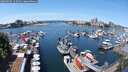 ./images/victoria/wharf/20250605/wharf20250605_122011M.jpg