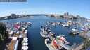 ./images/victoria/wharf/20250605/wharf20250605_123012M.jpg