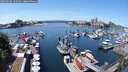 ./images/victoria/wharf/20250605/wharf20250605_125510M.jpg