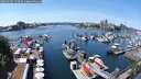 ./images/victoria/wharf/20250605/wharf20250605_133509M.jpg