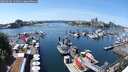 ./images/victoria/wharf/20250605/wharf20250605_134011M.jpg