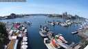 ./images/victoria/wharf/20250605/wharf20250605_140510M.jpg