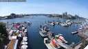 ./images/victoria/wharf/20250605/wharf20250605_141011M.jpg