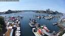 ./images/victoria/wharf/20250605/wharf20250605_144011M.jpg
