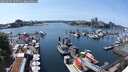 ./images/victoria/wharf/20250605/wharf20250605_144511M.jpg