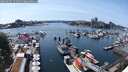 ./images/victoria/wharf/20250605/wharf20250605_151511M.jpg