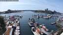 ./images/victoria/wharf/20250605/wharf20250605_153510M.jpg