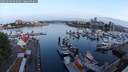 ./images/victoria/wharf/20250606/wharf20250606_052009M.jpg