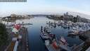 ./images/victoria/wharf/20250606/wharf20250606_052509M.jpg