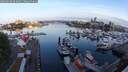./images/victoria/wharf/20250606/wharf20250606_054009M.jpg
