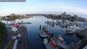 ./images/victoria/wharf/20250606/wharf20250606_054509M.jpg