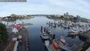 ./images/victoria/wharf/20250606/wharf20250606_071010M.jpg
