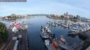 ./images/victoria/wharf/20250606/wharf20250606_073508M.jpg
