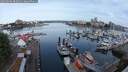 ./images/victoria/wharf/20250606/wharf20250606_082010M.jpg