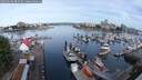 ./images/victoria/wharf/20250606/wharf20250606_082510M.jpg