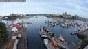 ./images/victoria/wharf/20250606/wharf20250606_083011M.jpg