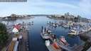 ./images/victoria/wharf/20250606/wharf20250606_085010M.jpg