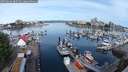 ./images/victoria/wharf/20250606/wharf20250606_085509M.jpg