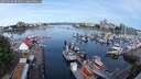 ./images/victoria/wharf/20250606/wharf20250606_091011M.jpg